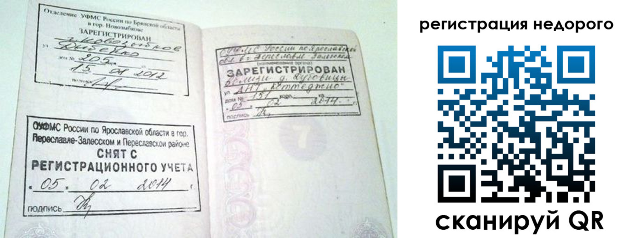 прописка поиск в Кораблино